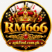 RM666 Game
