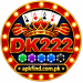DK222 Game