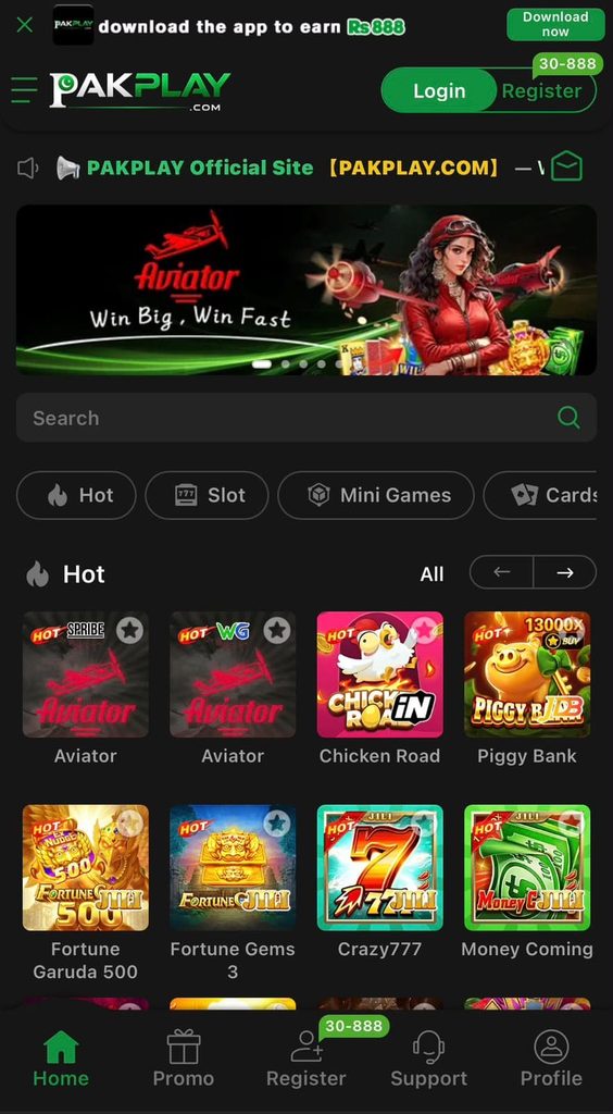 PAKPLAY Game